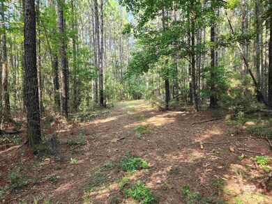 0 Lowery Rd unit Lot 10 382938, Atmore, AL 36502 - photo 4