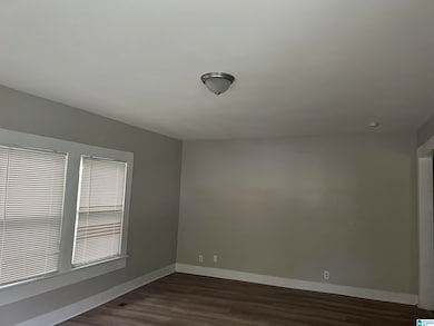1004 Forest St, Birmingham, AL 35217 - photo 3