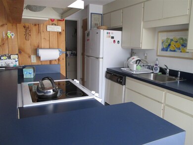 42 Tyler Spring Way unit 8, Waterville Valley, NH 03215 - photo 7