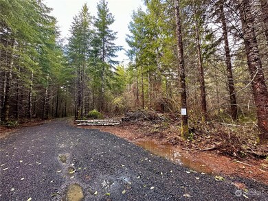 15 W Ford Rd unit Lot 3, Matlock, WA 98560 - photo 6