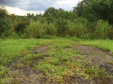 18951 Palm Beach Blvd, Alva, FL 33920 - photo 4