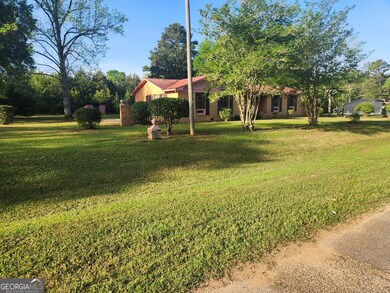 18802 E South Blvd, Blakely, GA 39823 - photo 4