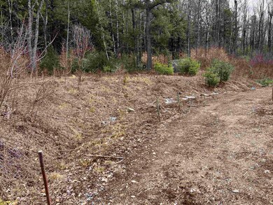 298 Nh Route 10, Marlow, NH 03456 - photo 5