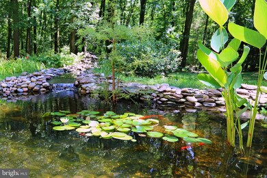 915 Monroeville Rd, Mullica Hill, NJ 08062 - photo 2