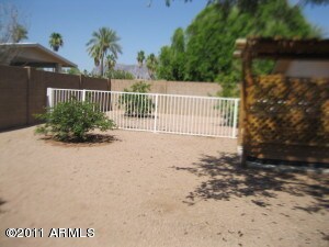 dog area