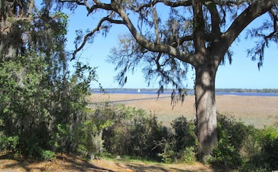 829 Commanders Island Rd unit Lot 183, Georgetown, SC 29440 - photo 6
