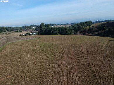 35970 SW Bald Peak Rd, Hillsboro, OR 97123 - photo 6