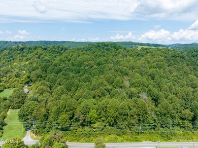 636 Meadow View Rd, Bristol, TN 37620 - photo 6