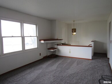 5439 N Pine St, Davenport, IA 52806 - photo 3