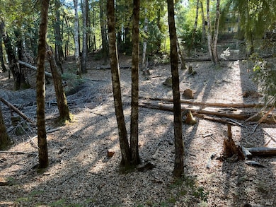 27208 Bear Cir, Brooktrails, CA 95490 - photo 4