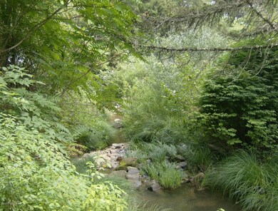 Stream
