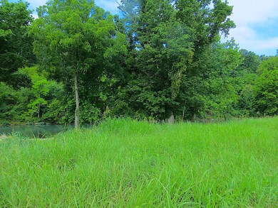 Tract 4 Rainbow Valley Trail, Mammoth Spring Township, AR 72554 - photo 3