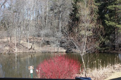 IMG_0736.JPG