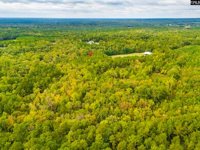 Lot 22 Creekside Way, Ridgeway, SC 29130 - photo 5