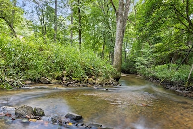 127 Twin Creeks, Blue Ridge, GA 30513 - photo 3