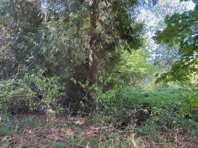 157 Park Dr, Point Roberts, WA 98281 - photo 3