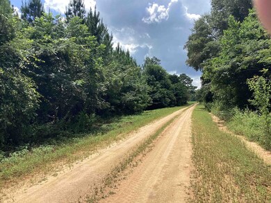 06 Davis Cir, Wing, AL 36483 - photo 4