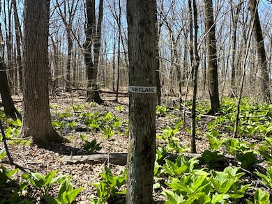 00WP Wemple Rd, Glenmont, NY 12077 - photo 5