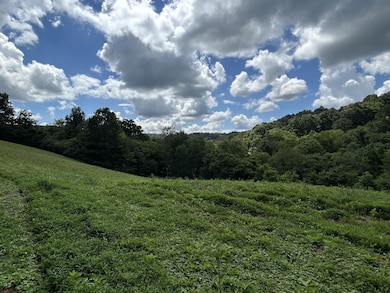 1 Chicken Creek Rd, Pulaski, TN 38478 - photo 3