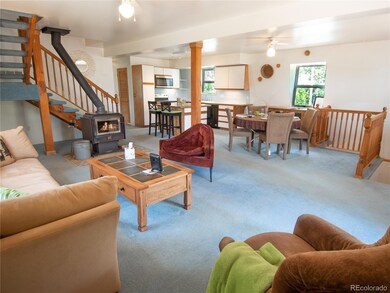 2903 S Spring Gulch Rd, Idaho Springs, CO 80452 - photo 4