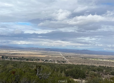 0 Y8 Vic Vac Avenue 165 unit DW25263892, Llano, CA 93544 - photo 3