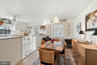 206 Chestnut St, Middleburg, VA 20117 - photo 7