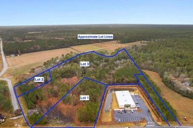 TBD Lot 1 Red Bluff Rd, Loris, SC 29569 - photo 3