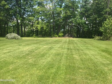 large level back yard