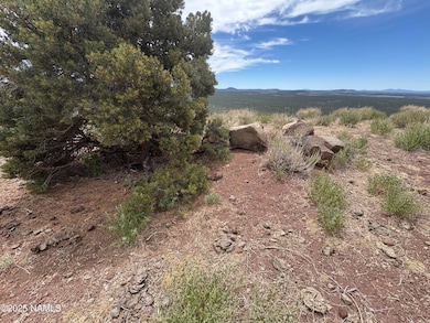 1123 E Broken Arrow Dr, Red Lake, AZ 86046 - photo 2