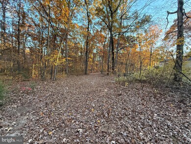 11400 Railroad Ln, Locust Grove, VA 22508 - photo 4