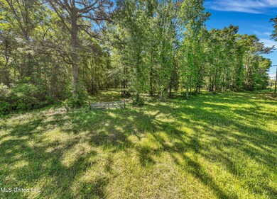 2838 Highway 43 S, Picayune, MS 39466 - photo 4
