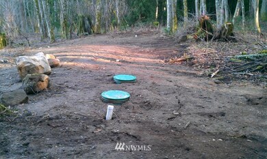 1852 Squalicum Mountain Rd, Bellingham, WA 98226 - photo 4