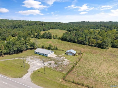 14298 Highway 231, Union Grove, AL 35175 - photo 2