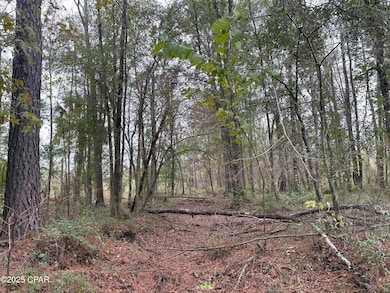 tbd N Golden Rd, Jacob City, FL 32431 - photo 5