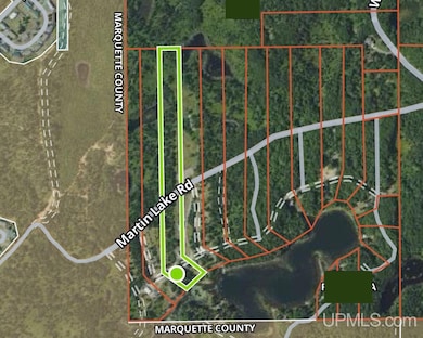 TBD E Martin Lake Rd, Forsyth Township, MI 49885 - photo 2