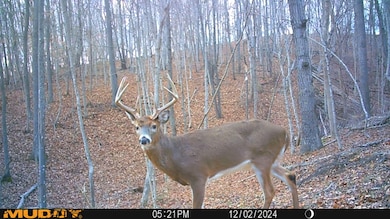 34292 State Route 41, Peebles, OH 45660 - photo 5