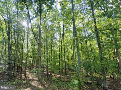 6067 Laurel Rd, Shipman, VA 22971 - photo 7