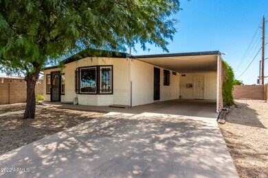 Front yard and driveway