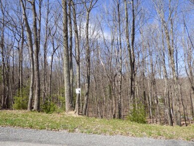 392 Hawks Chase Ln unit 6, Shady Spring, WV 25832 - photo 4