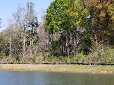 Secluded Pond