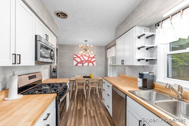 316 N Locust St, Wayland, MI 49348 - photo 4