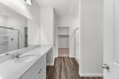 Full bathroom featuring a walk in closet, a stall shower, vanity, and dark wood-type flooring
