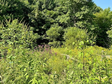 0 Williams St, Bluefield, VA 24605 - photo 5