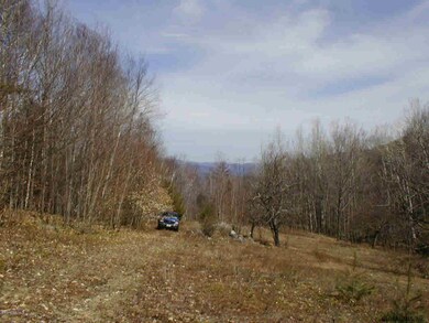 L20.2 Goldey Rd, Huletts Landing, NY 12841 - photo 2