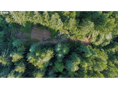 0 Elk City Rd, Toledo, OR 97391 - photo 2