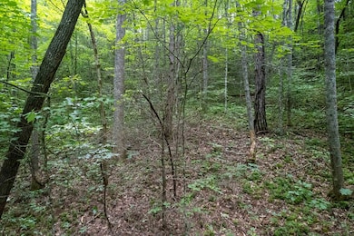 Lot 12 Carousel Ln, Sylva, NC 28779 - photo 3