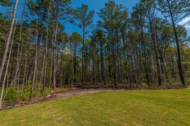 1072 Reserve Ln unit Lot 2, Awendaw, SC 29429 - photo 6