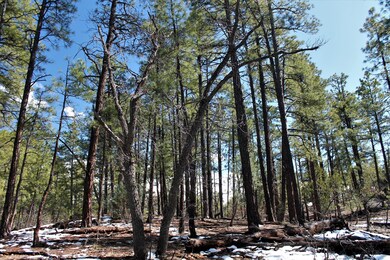 2170 S Pleasantview Dr, Show Low, AZ 85901 - photo 5