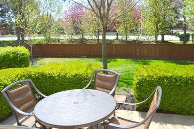 Patio and Back Yard
