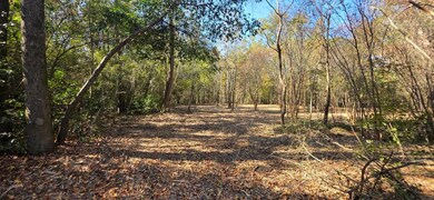 6 Acres N Broad St, Cowarts, AL 36321 - photo 5